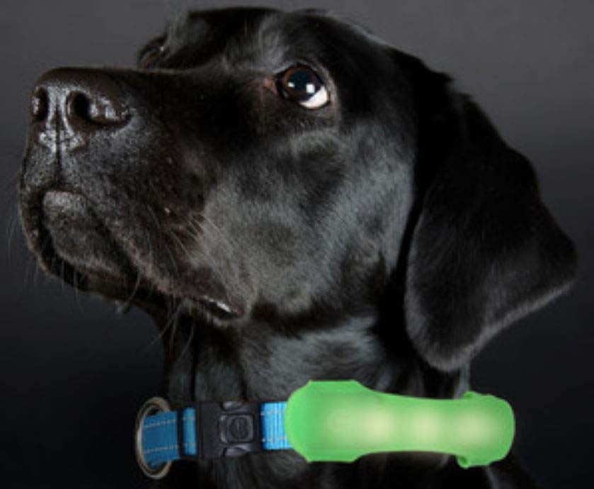 UNITED PETS Banda reflectorizanta, din silicon, cu LED pentru zgarda