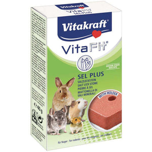 VITAKRAFT Vita Fit Bloc de sare pentru rozatoare 40g