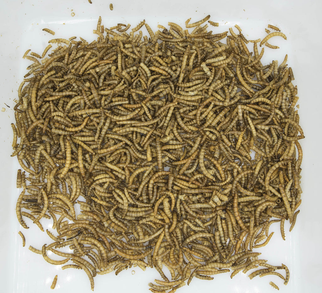 VITAPOL Vitaherbal Hrana suplimentara ptr rozatoare, cu Mealworms 70g